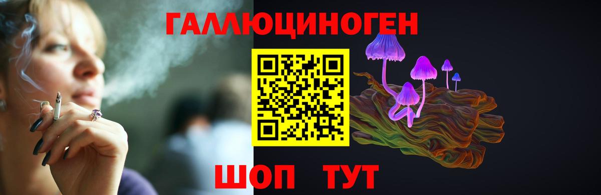 Сочи  Псилоцибиновые грибы GOLDEN TEACHER  Вход с VPN 